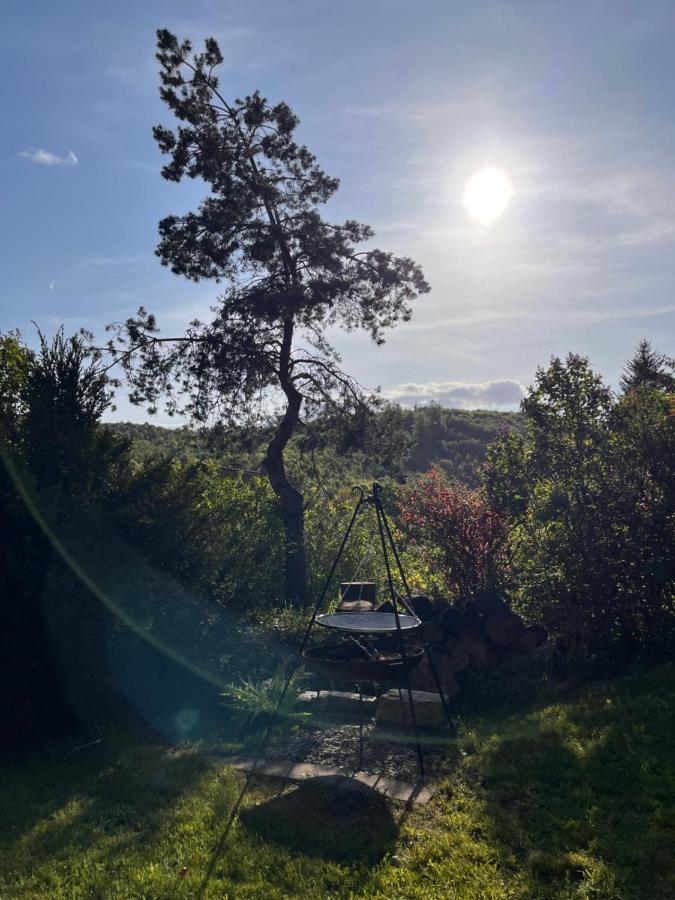 Kleines Harz-Chalet Neuwerk  外观 照片